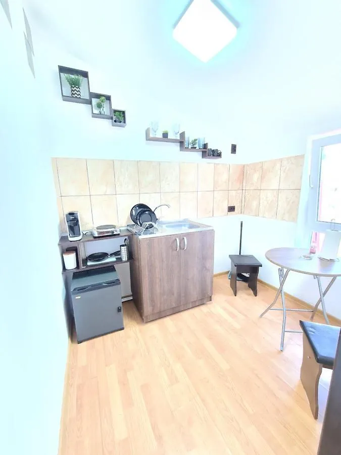 مبيت وإفطار بوخارست Garsoniera Privata